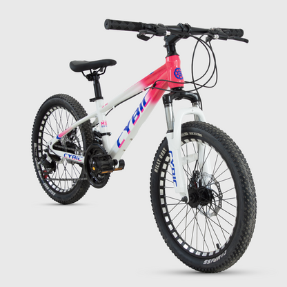 20 Inch Mountain Bike for Boys Girls, Youth MTB Bicycle 21 Speeds Iron Frame Bicycle, Multiple Colors