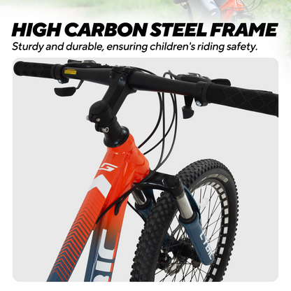 20 Inch Mountain Bike for Boys Girls, Youth MTB Bicycle 21 Speeds Iron Frame Bicycle, Multiple Colors