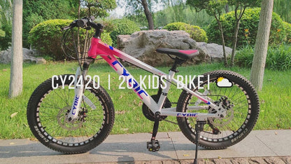 20 Inch Mountain Bike for Boys Girls, Youth MTB Bicycle 21 Speeds Iron Frame Bicycle, Multiple Colors